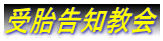 受胎告知教会