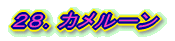 28.カメルーン